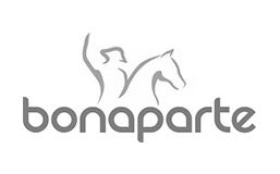 Logo Knulst Tapijt Bonaparte